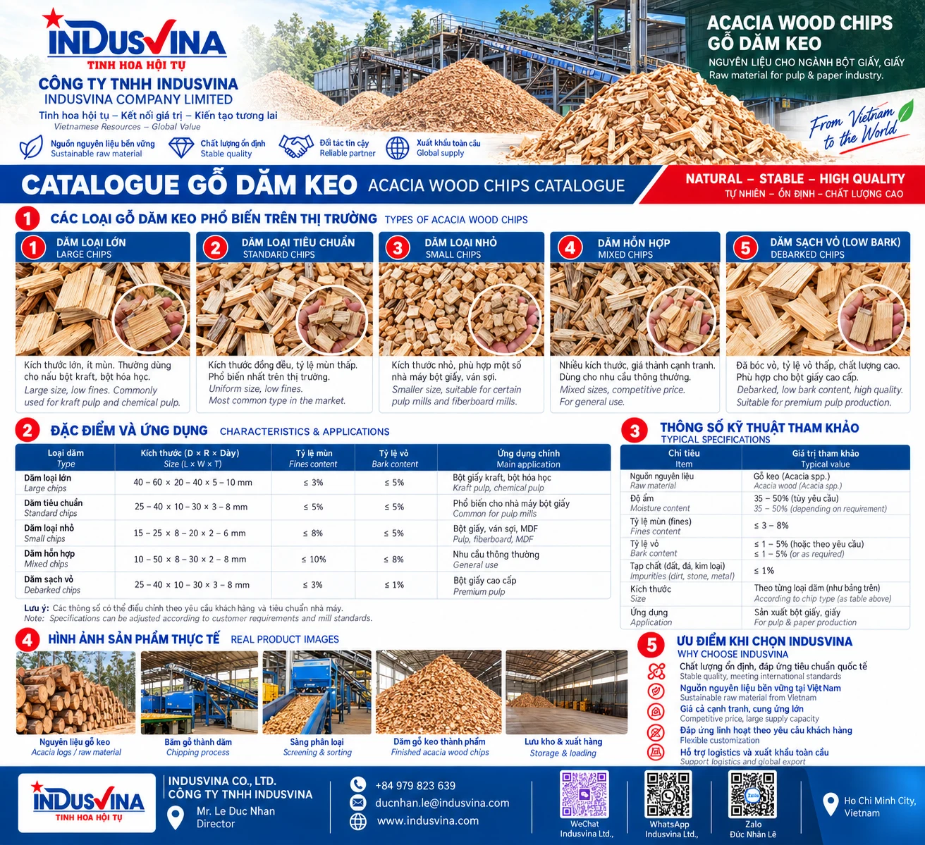 Gỗ dăm keo Acacia spp. dùng cho sản xuất bột giấy & giấy