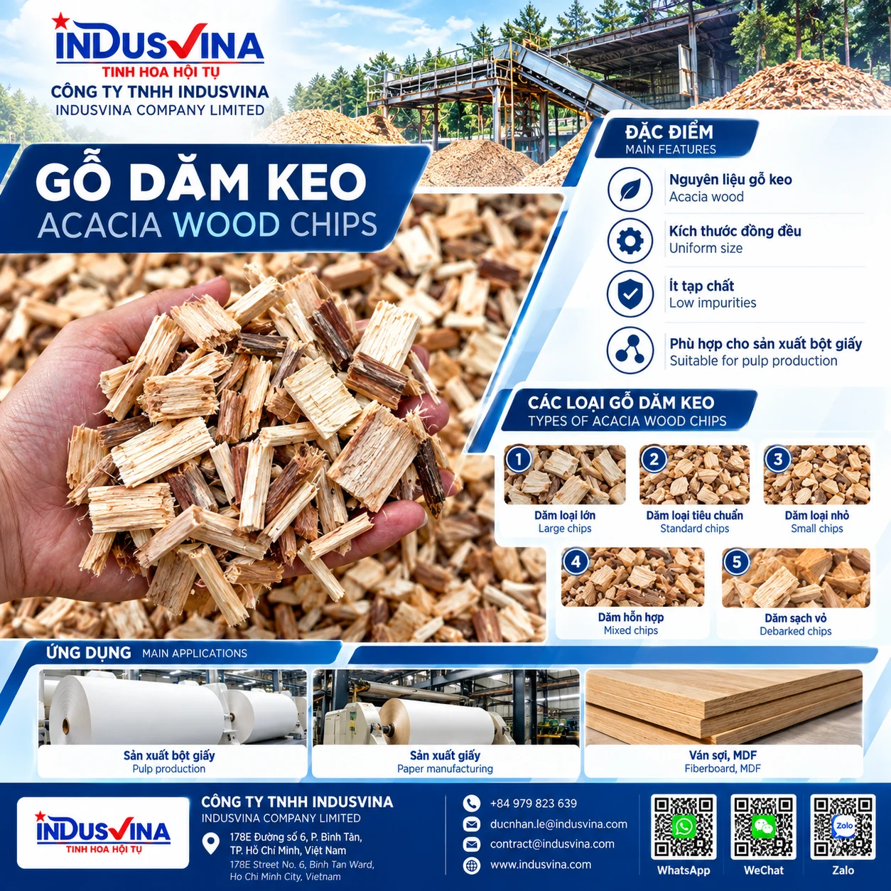 Gỗ dăm keo Acacia spp. dùng cho sản xuất bột giấy & giấy