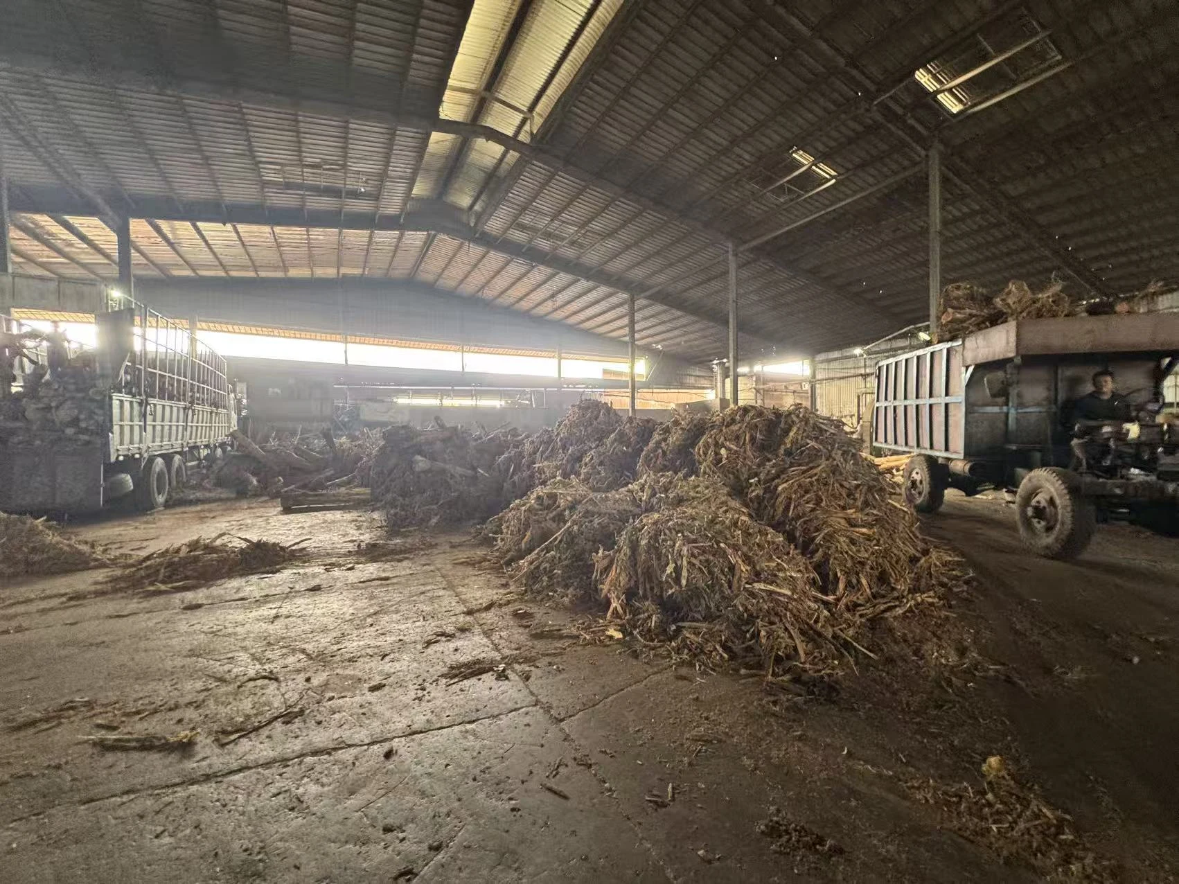 Gỗ dăm keo Acacia spp. dùng cho sản xuất bột giấy & giấy