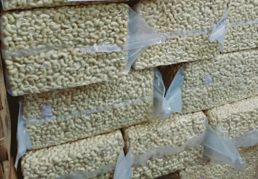 Ảnh tham khảo · Vietnam Cashew Nut Processing JSC