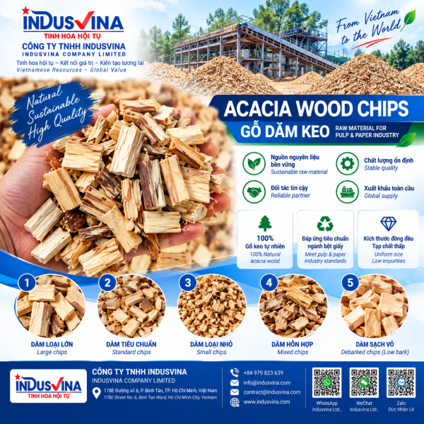 Gỗ dăm keo Acacia spp. dùng cho sản xuất bột giấy & giấy