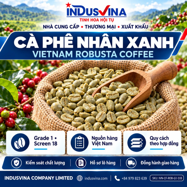 Vietnam Green Coffee Beans – Robusta G1 S18