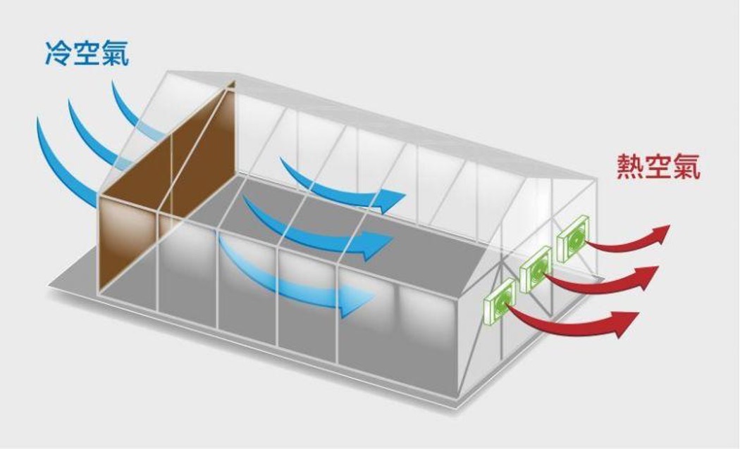 Kiểm chứng hiệu quả chống nóng bằng số liệu