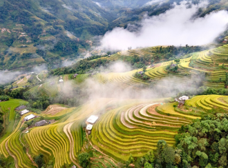 KHÍ HẬU NHIỆT ĐỚI VÀ SỰ PHÌ NHIÊU CỦA VIỆT NAM