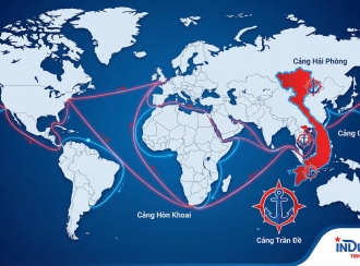 Bài 6: FOB, CFR, CIF – Tam giác quyền lực của thương mại biển