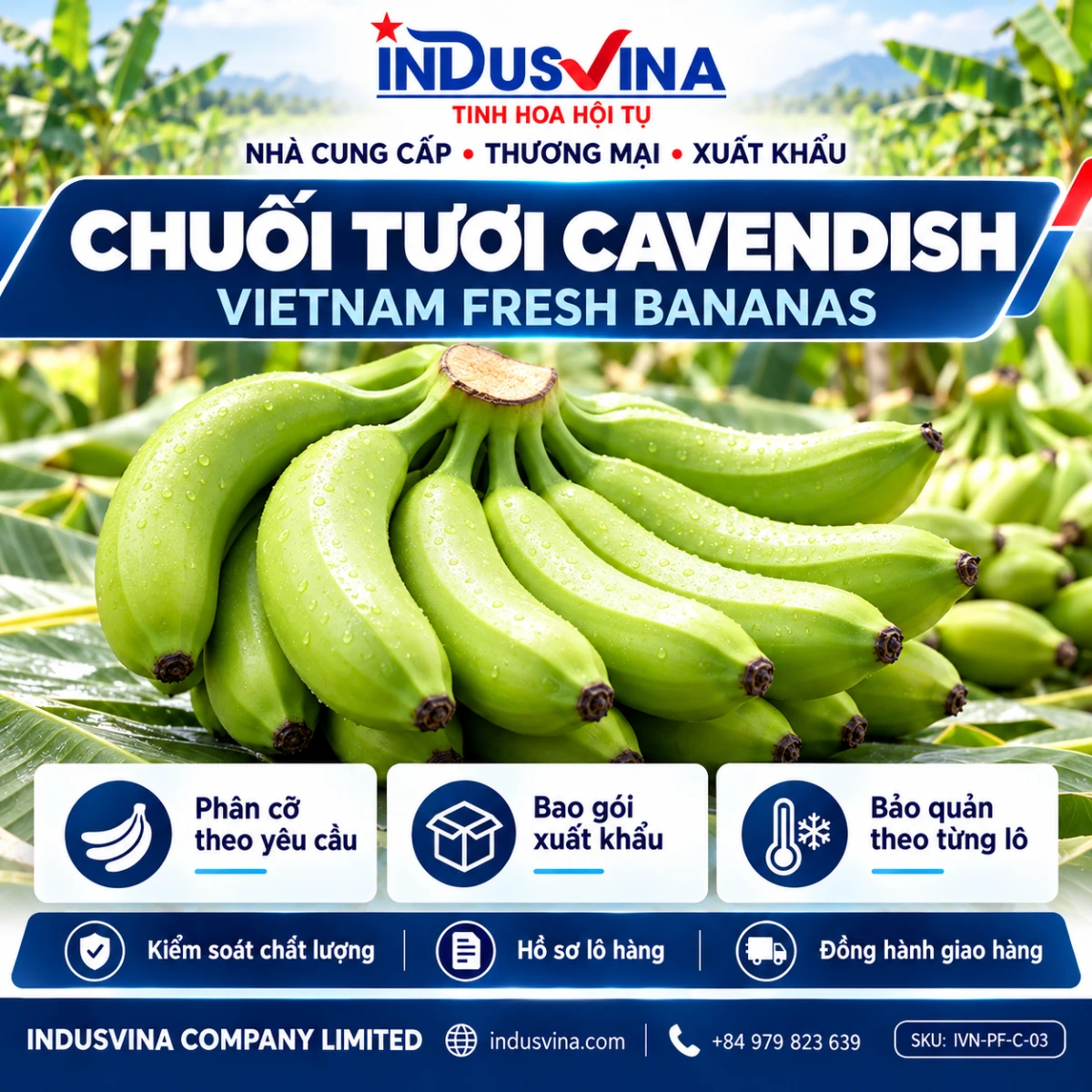 INDUSVINA · ảnh đại diện sản phẩm · chuẩn thương hiệu v2
