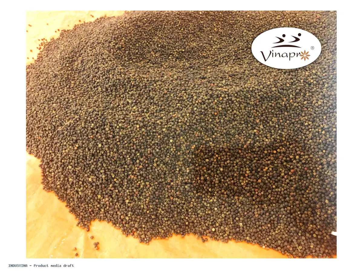 Black Pepper Cleaned 500g/l – product gallery 7FE97A2F · kế thừa Admin